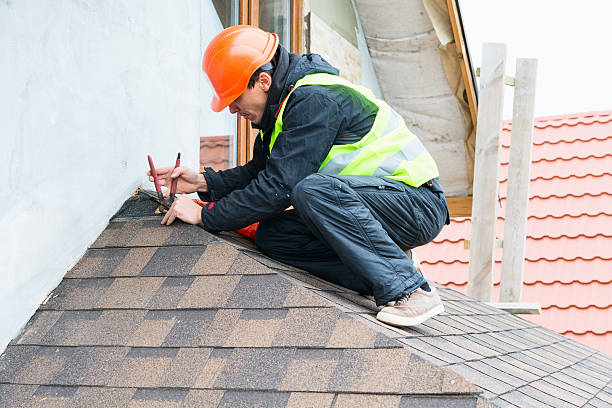 Roof Gutter Cleaning in Highlandville, MO
