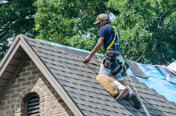 Best Roof Restoration Services  in Highlandville, MO